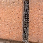 Flexi Armour Weep close up