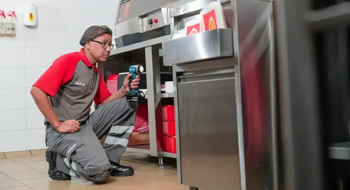 a person inspecting restaurant counters etc with a torch, or cockroach ootheca, or cockroach-damaged packaging