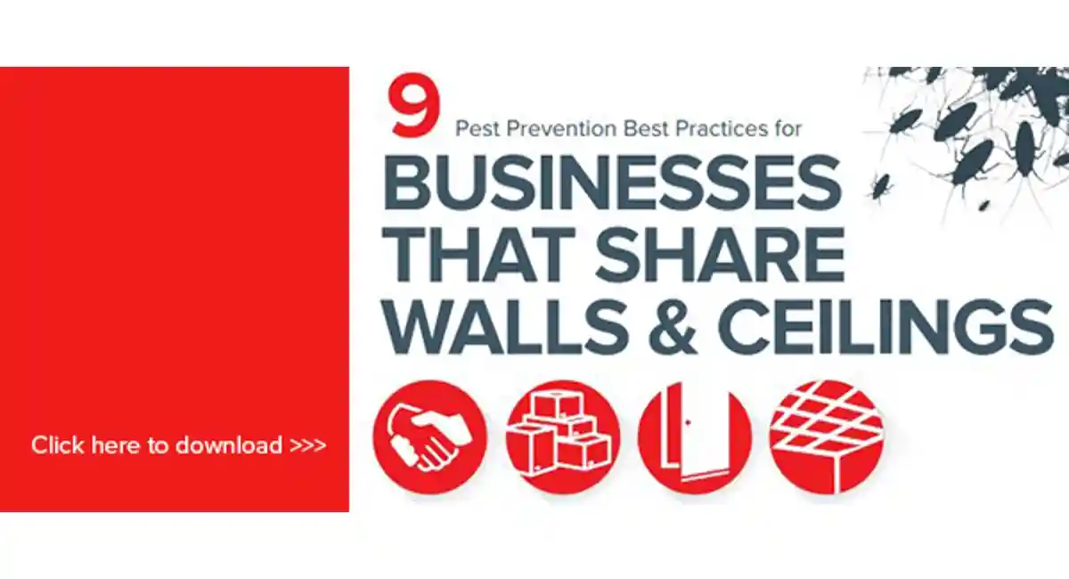 best practices for businesses with shared walls
