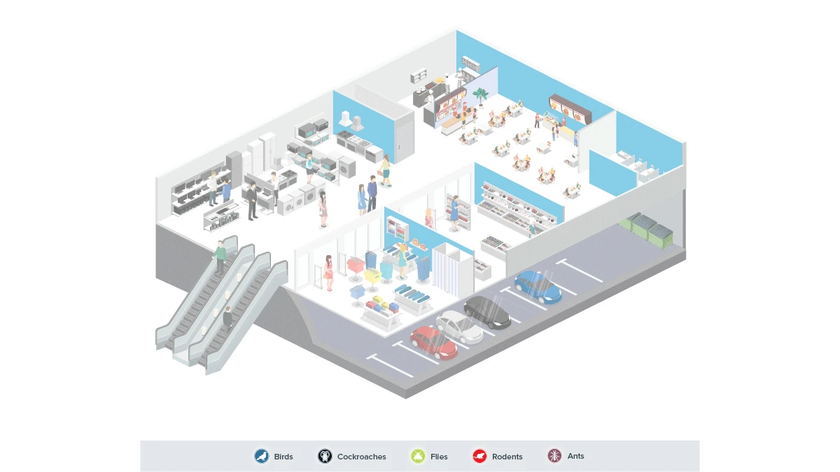 Non-food retail