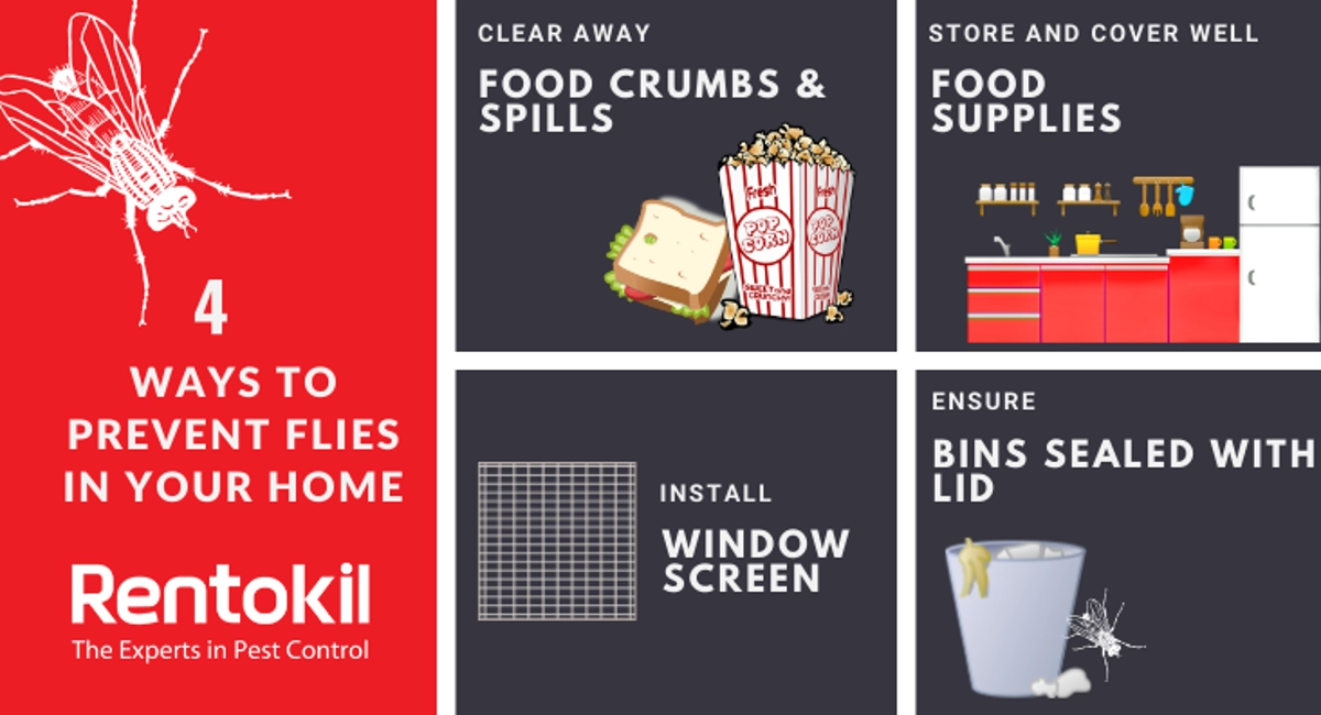 Rentokil Flies Preventive Tips