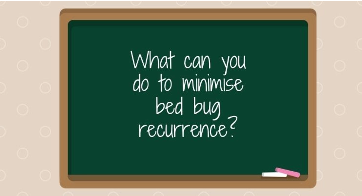 Debugged Blog Do Bed Bugs Return After Treatment Minimise Recurrence