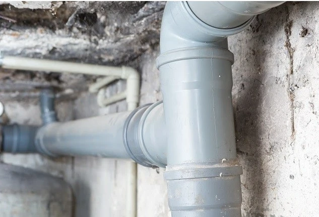 Debugged Blog 10 Facts of Termite Control You Must Know Poor Plumbing Promotes Termites