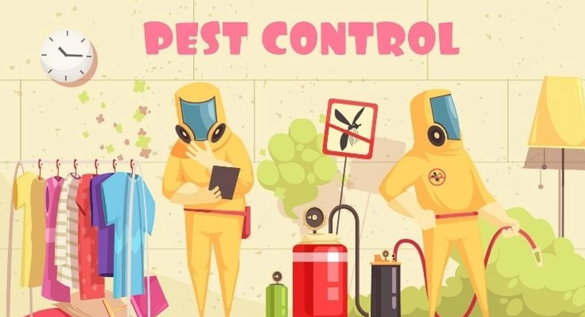 Debugged Blog Rentokil Voted Best Pest Control Pest Quick Tips