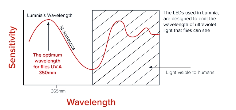 Why Lumnia LED insect light trap attracts flies better than other commercial fly control traps