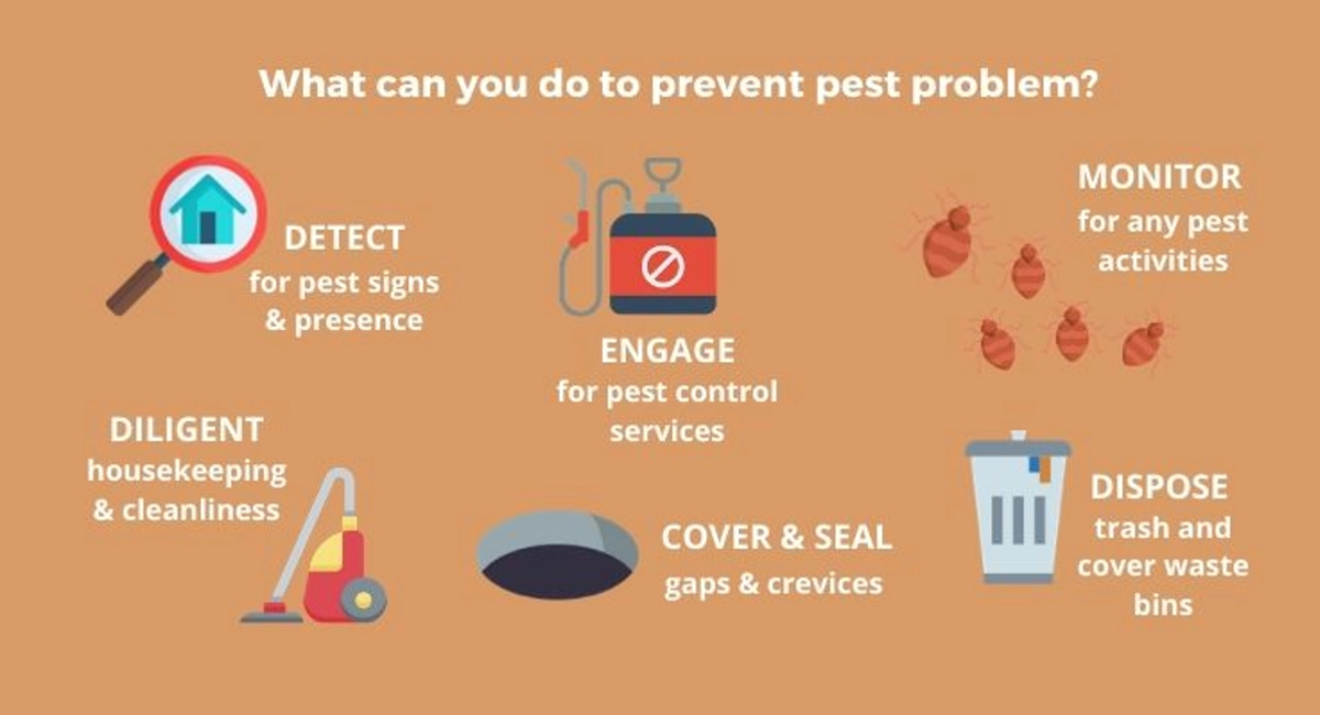 Debugged Blog Find Out The 5 Uncommon Pests In Homes Pest Prevention
