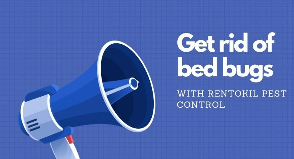 Debugged Blog Top Ten Blog On Bed Bugs Get Rid of Bed Bugs