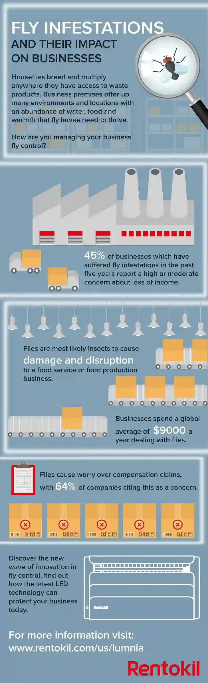 Rentokil fly infestation lumnia infographic