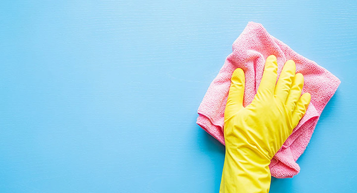 Debugged Blog How To Prepare Your Home For Pest Treatment Housekeeping and Home Cleaning
