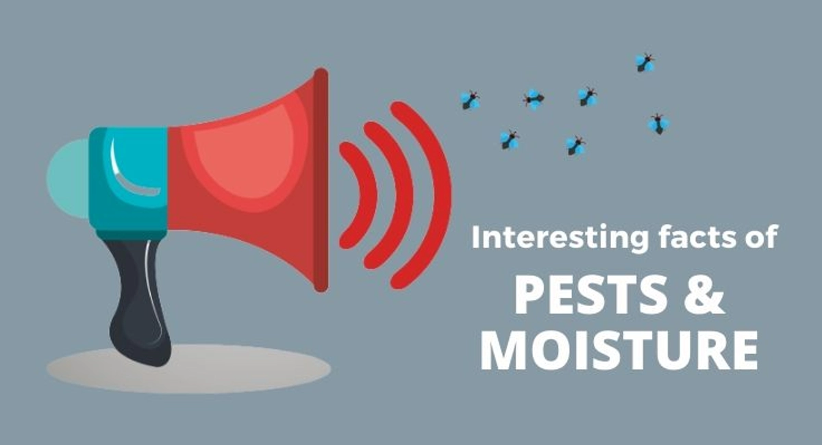 Debugged Blog Article Do You Know Water Attract Pests Interesting Facts of Pest and Moisture