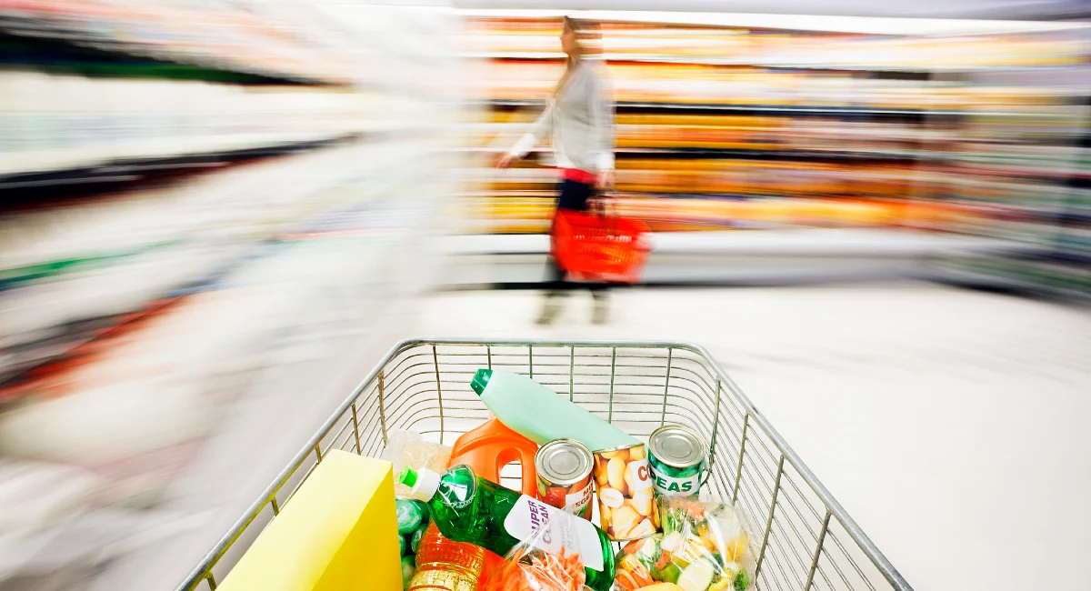top pests in retail
