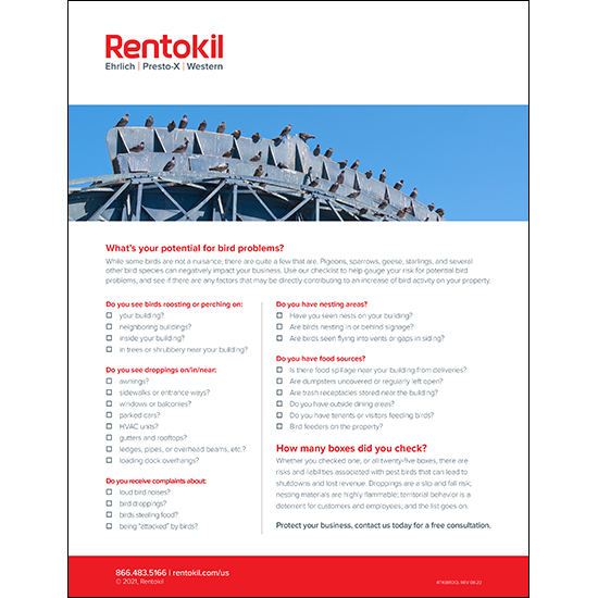 bird management checklist from Rentokil