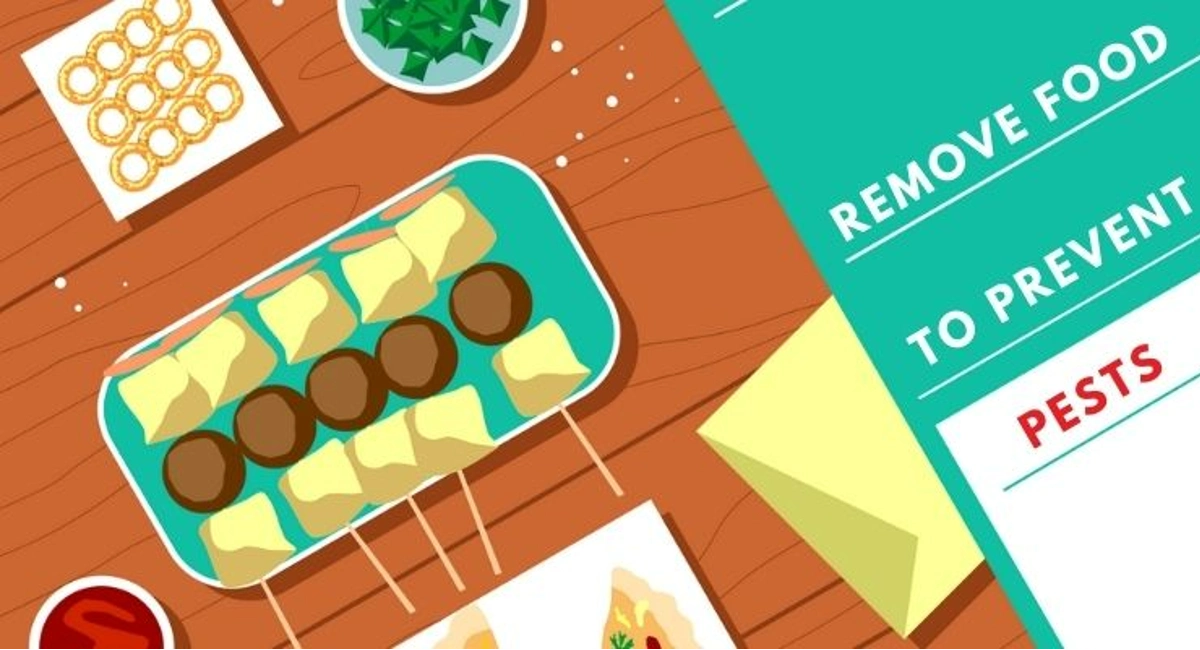 Debugged Blog Top 7 Food In Your Home That Attract Pests Remove Food Source