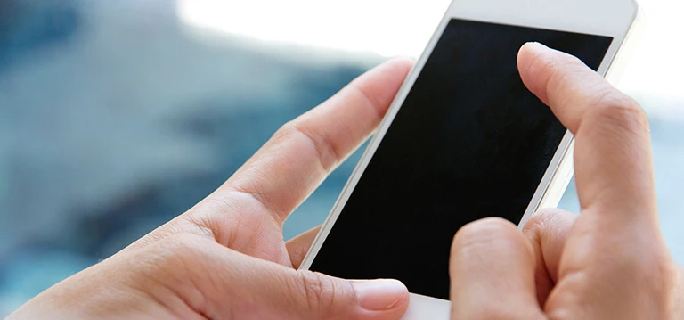 online pest trends