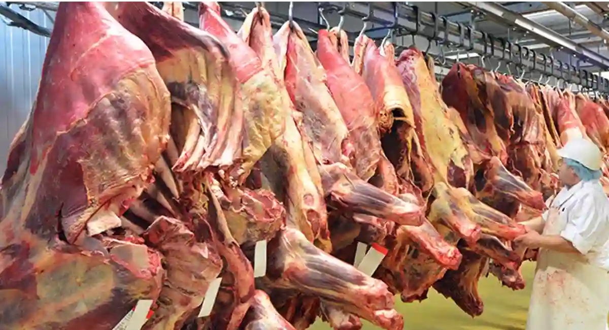 Butcher handling raw meats