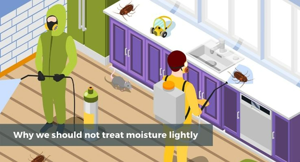 Debugged Blog Article Do You Know Water Attract Pests Why We Should Not Treat Moisture Lightly