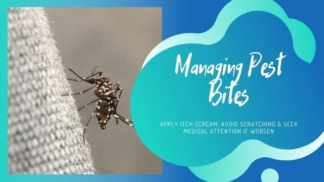 Managing pest bites - What do you need to know?