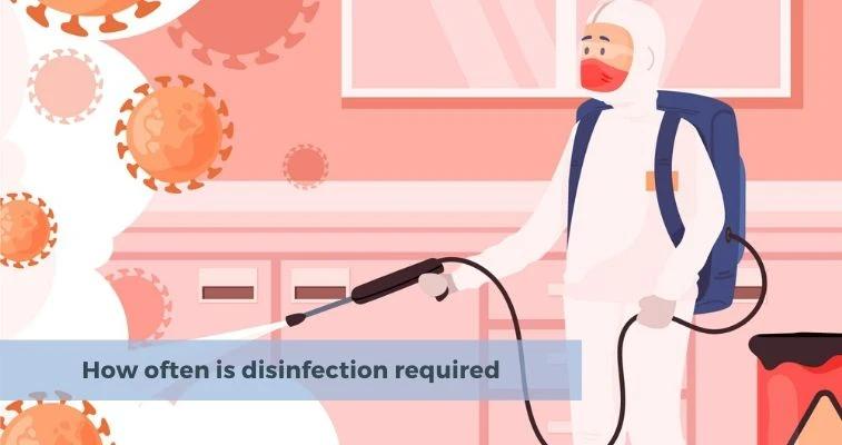 How often does a disinfection service is required?