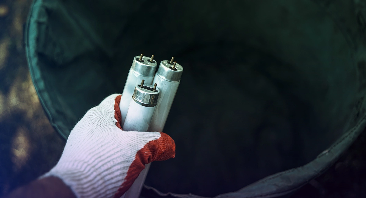 Lampes à LED d'un Lumnia Rentokil dans une main