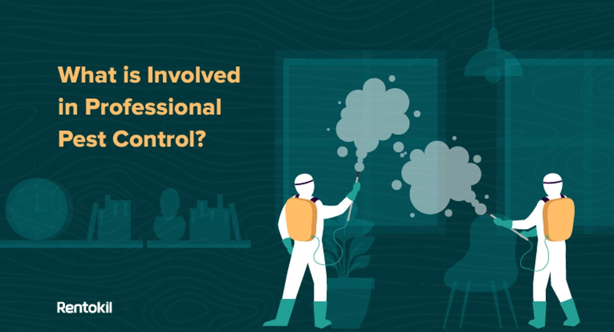 What is involved in professional pest control