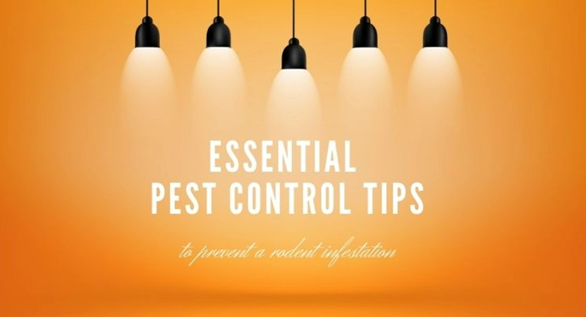 Debugged Blog Article Essential Pest Control Services You Should Know Top Trending Blog Articles
