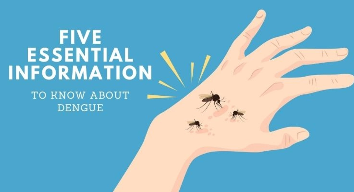 Debugged Blog Five Ways Protect Ourselves From Dengue Essential Infomation On Dengue