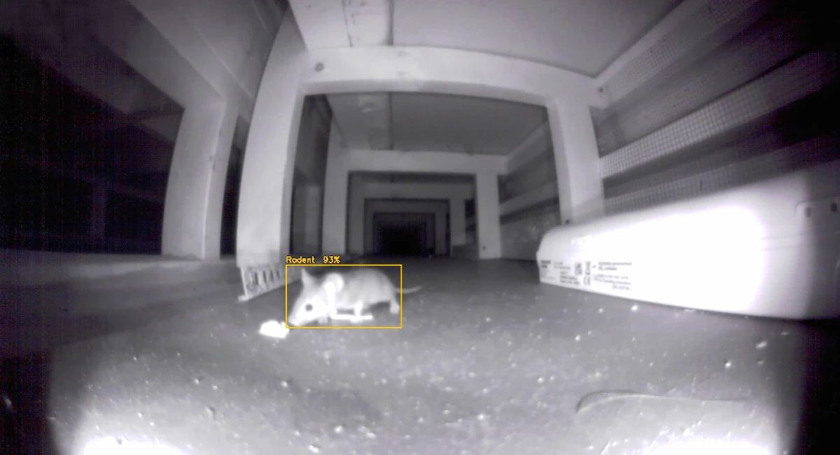 PestConnect Optix rodent detected