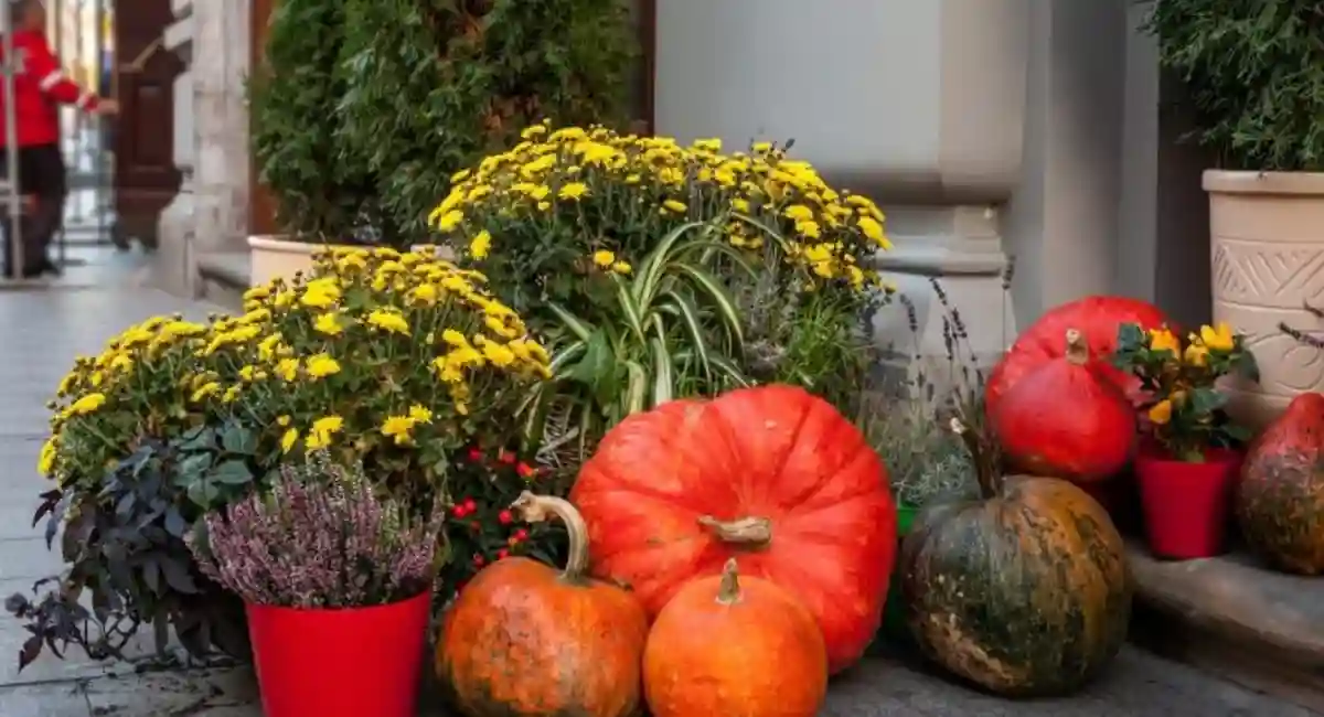 fall decor on city street