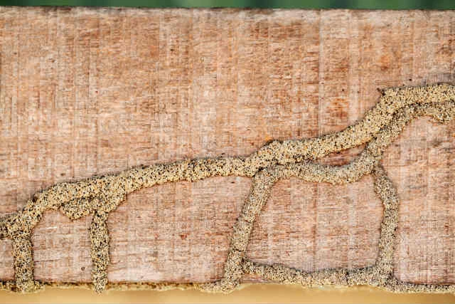 Termite shelter tubes