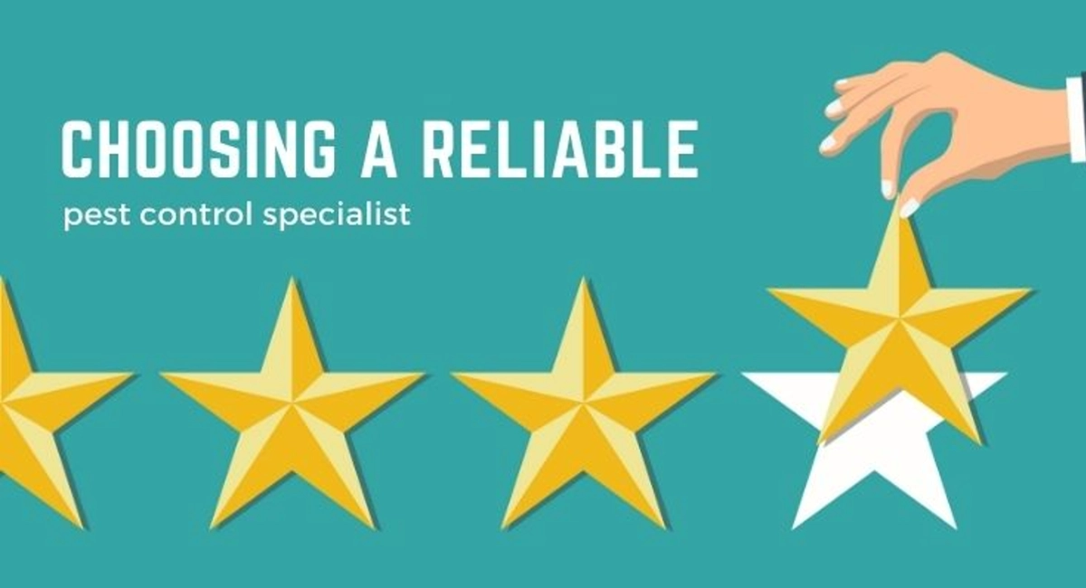 Debugged Blog What Does Pest Control Specialist Do Disinfection Expertise