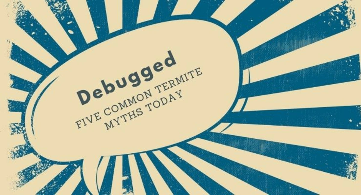 Debugged Blog Five Ways Termites Can Destroy Your Home Termite Myths