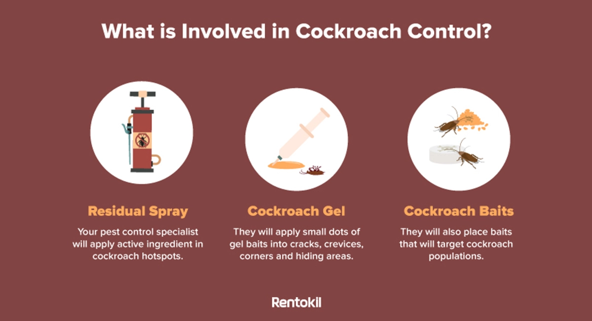 what is involved in cockroach control