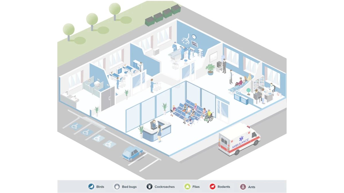 Healthcare