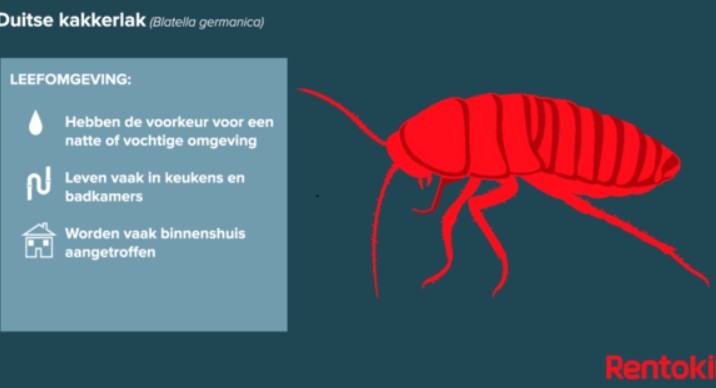 Environnement de vie