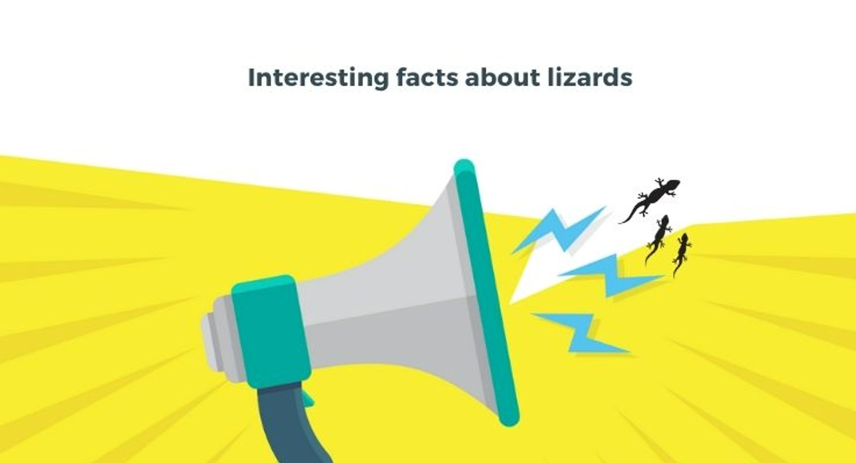 Debugged Blog How To Manage Lizards In Your Home Interesting Facts About Lizards