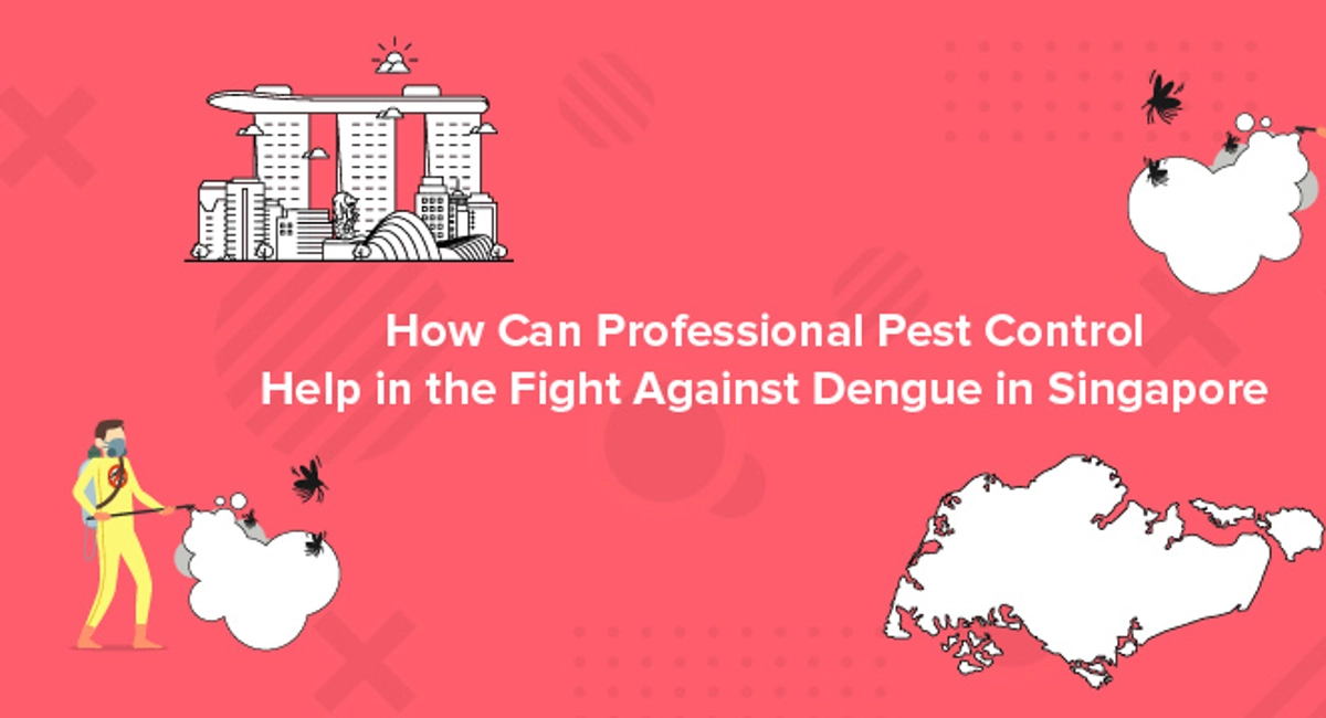 Debugged Blog Eight Facts of Dengue and Mosquito Control Solutions