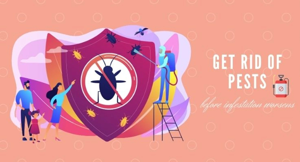 Debugged Blog Five Ways To Detect Pest Infestation Get Rid of Pests Effectively