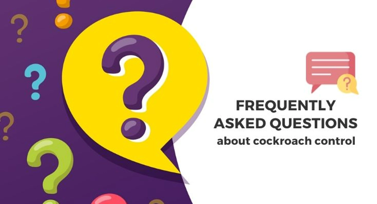 Debugged Blog 10 Facts We Did Not Know About Cockroaches Cockroach Control FAQ