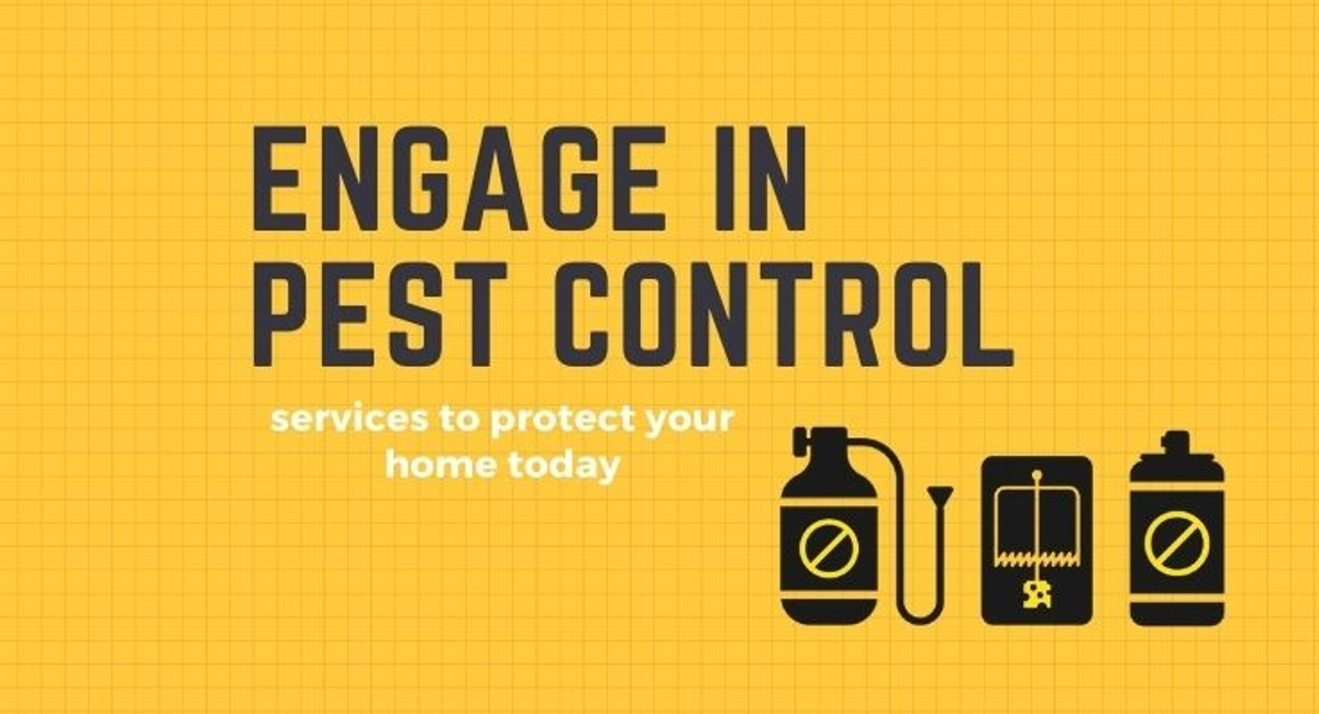 Debugged Blog What Do Most Pests Have In Common Engage In Pest Control Services
