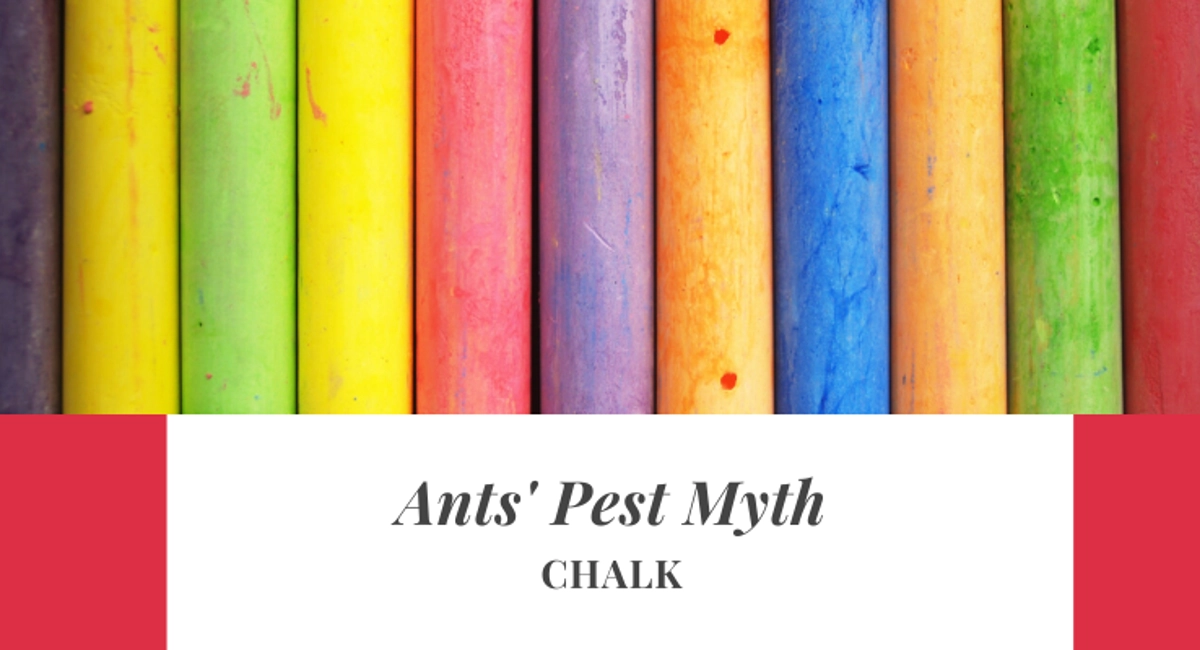 Ants pest myth using chalk