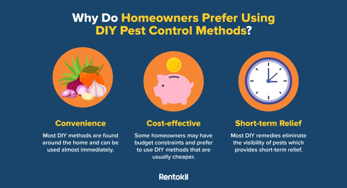 Why Do Homeowners Prefer Using DIY Pest Control Methods