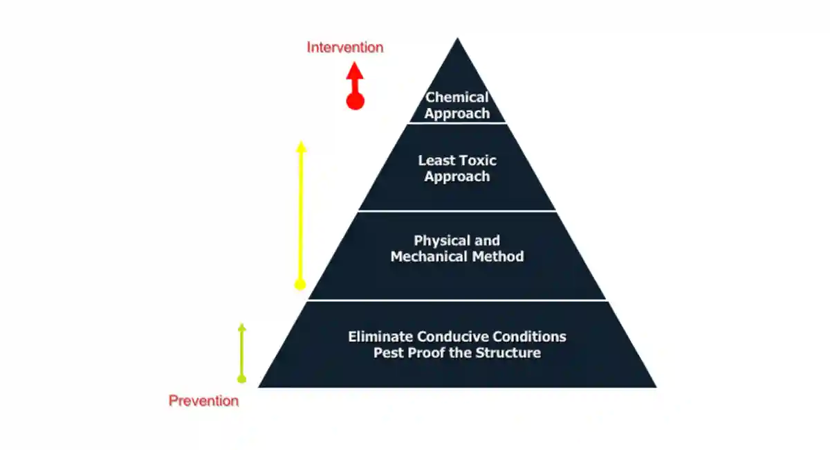 pyramid representation of pest management solution decision