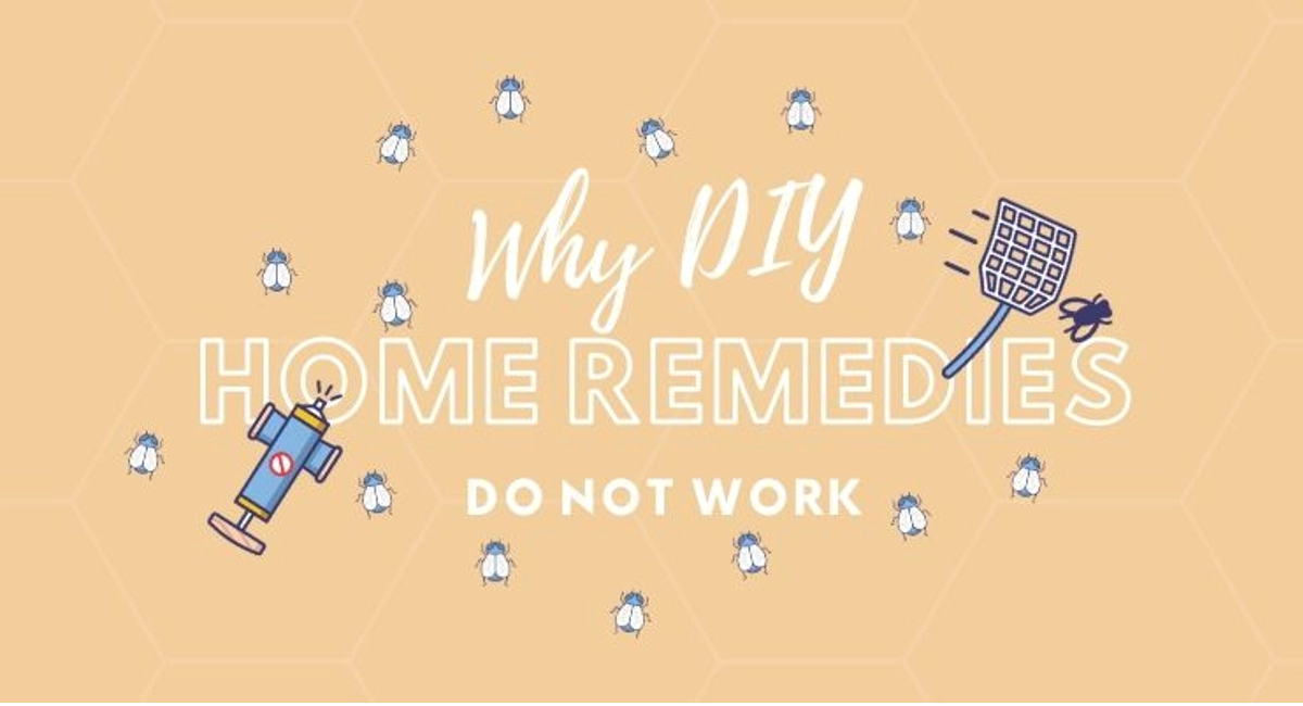 Debugged Blog Why DIY Home Remedies Do Not Work