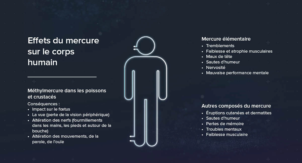 Les effets du mercure sur le corps humain