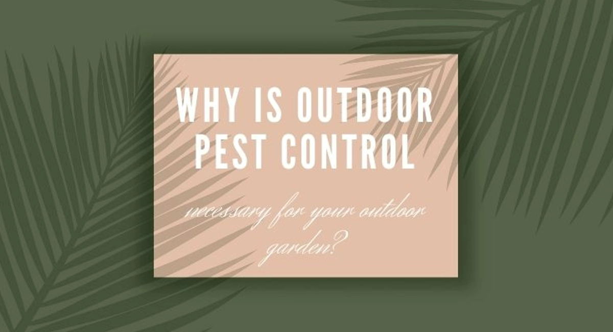 debugged blog how to protect your plants from pest why outdoor pest control is important