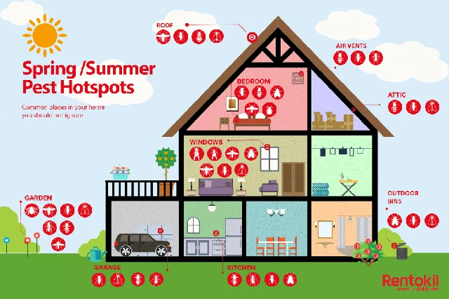 How Does The Weather Impact Pests and Pest Activity
