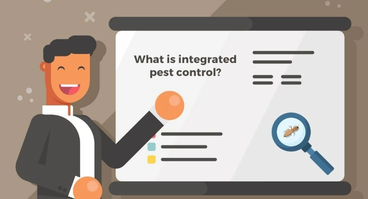 Debugged Blog Article What is An Integrated Pest Control About More About Integrated Pest Management
