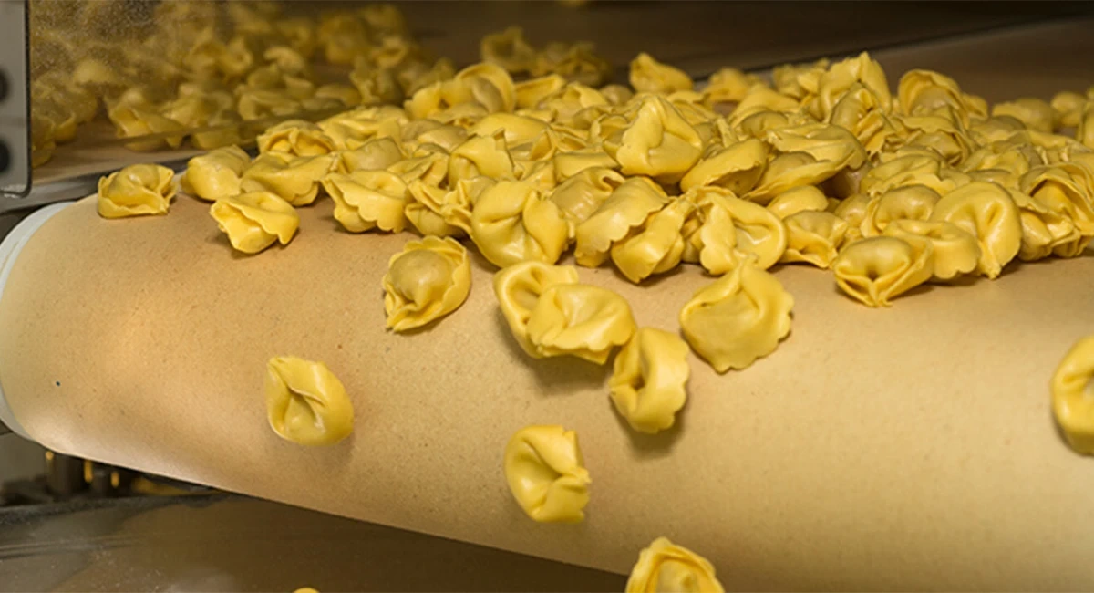 Food processing plant