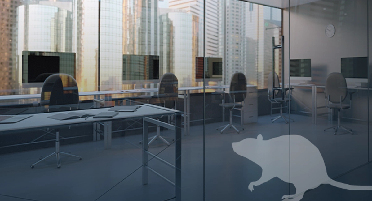 rat image overlaid on picture of an office
