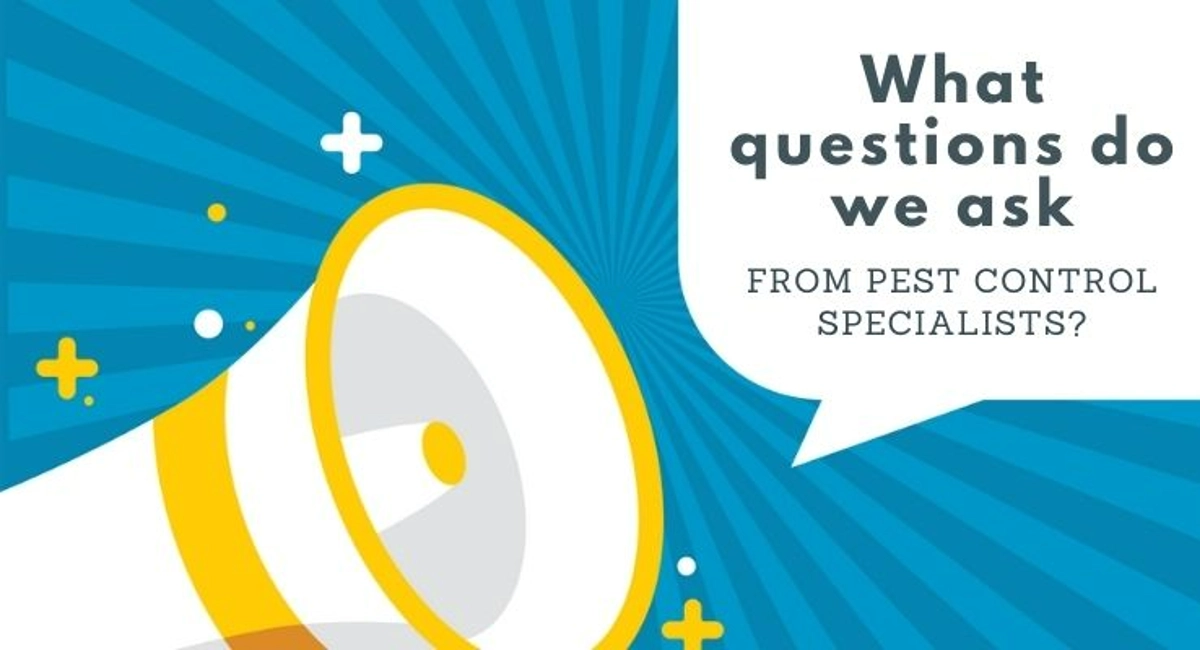 Debugged Blog When To Call For Pest Control Questions To Ask